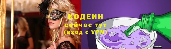 соль ск Арсеньев