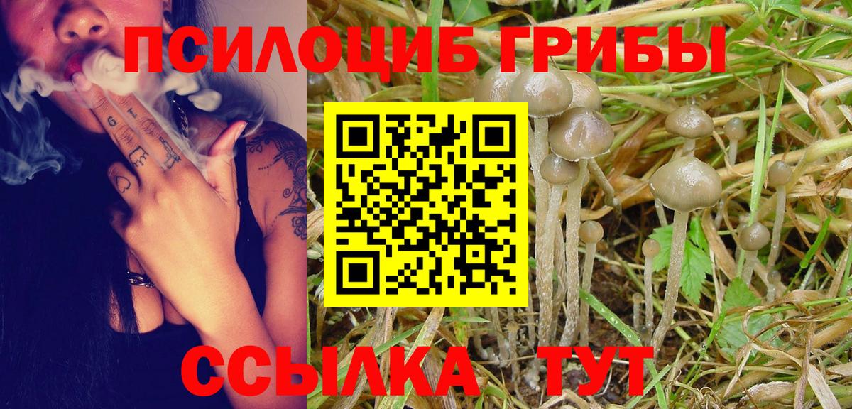 Псилоцибиновые грибы мицелий Когалым
